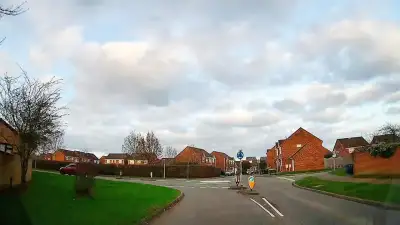 E-bike Hazard and Leading Vehicle Cues thumbnail