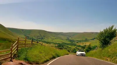 Cattle and Oncoming Vehicle on Narrow Hill thumbnail